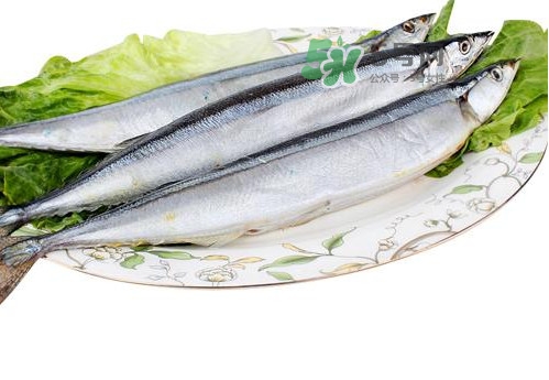 秋刀魚是海魚嗎？秋刀魚是淡水魚還是海魚