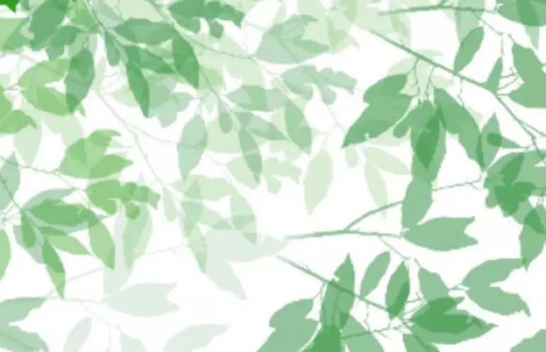 這世上，只有一種男人不會出軌