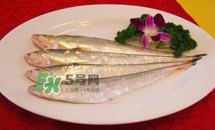 秋刀魚是刀魚嗎？秋刀魚和刀魚的區(qū)別