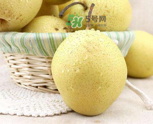 雪花梨什么時候成熟？雪花梨幾月份成熟？