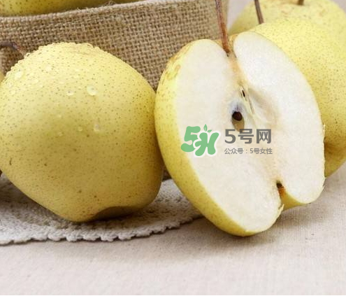 雪花梨什么時候成熟？雪花梨幾月份成熟？