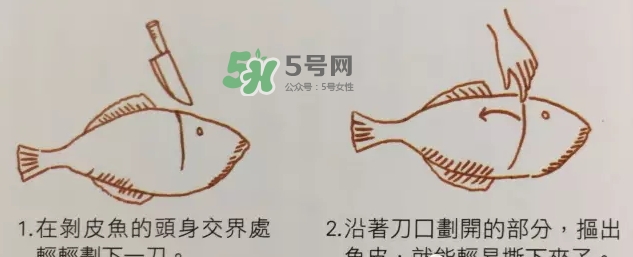 剝皮魚為什么要?jiǎng)兤?？剝皮魚的皮有毒嗎？