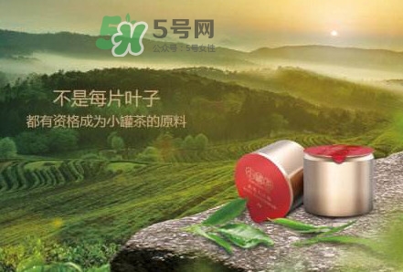 小罐茶是什么茶？小罐茶是哪八種茶？