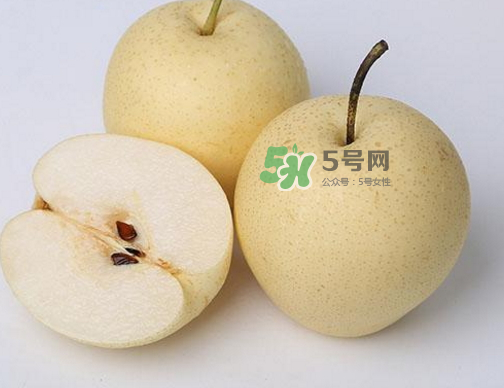 水晶梨和雪梨的功效一樣嗎？水晶梨是雪梨嗎？