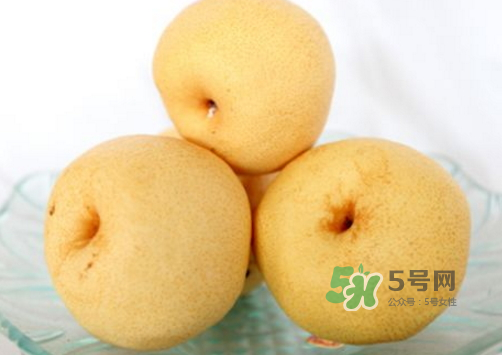 貢梨是雪梨嗎？貢梨和雪梨的區(qū)別