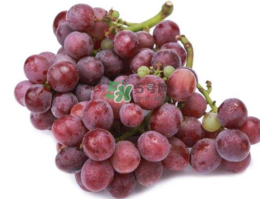 心形葡萄什么品種？心形葡萄怎么種？