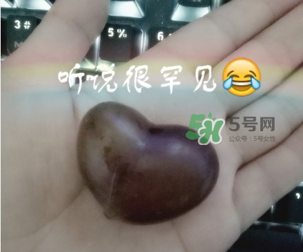 心形葡萄能吃嗎？心形葡萄和普通葡萄的區(qū)別
