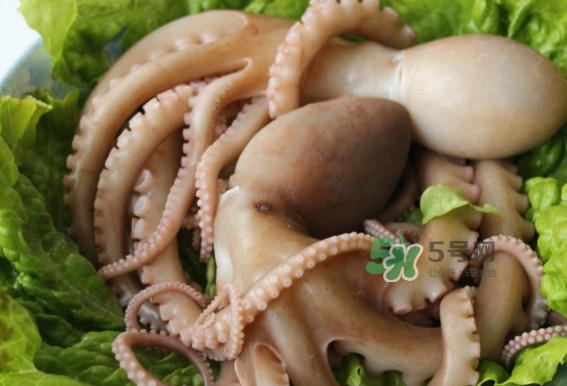 八爪魚的頭能吃嗎？八爪魚的頭里面是什么