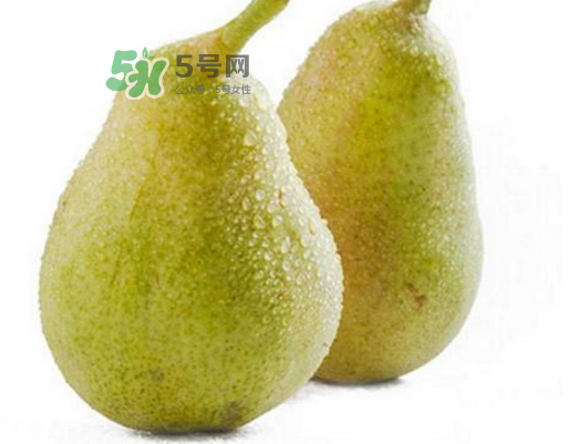 巴梨的營(yíng)養(yǎng)價(jià)值 巴梨的功效和作用