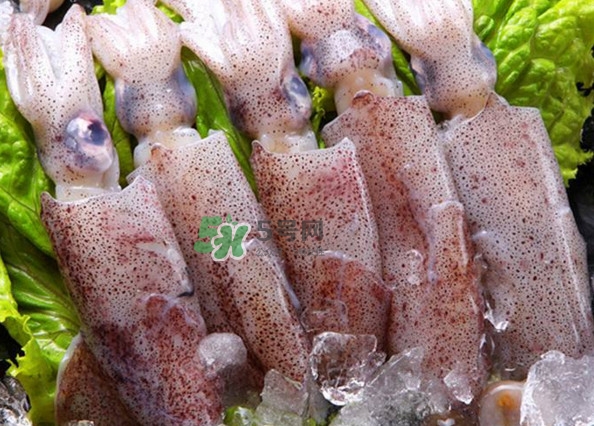 筆管魚怎么清洗？筆管魚怎么處理