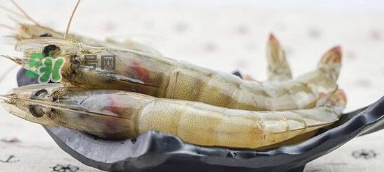 厄瓜多爾蝦是海蝦嗎？厄瓜多爾蝦好吃嗎？