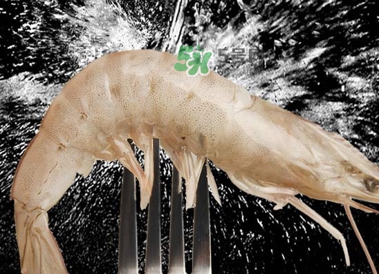 厄瓜多爾白蝦是咸的嗎？厄瓜多爾白蝦怎么很咸