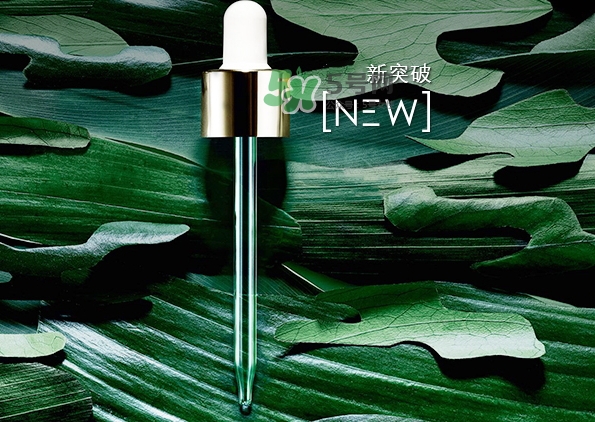 綠寶瓶和小棕瓶哪個好？綠寶瓶和小棕瓶對比