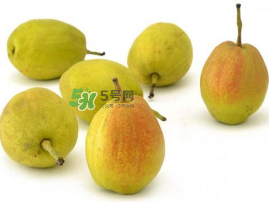 香梨怎么挑？香梨的功效與作用