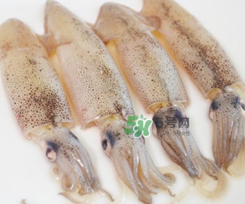 筆管魚是什么魚？筆管魚怎么吃