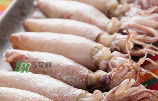 海兔子是小魷魚嗎？海兔子和魷魚的區(qū)別