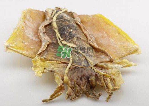 魷魚干是生的還是熟的？魷魚干是海鮮嗎