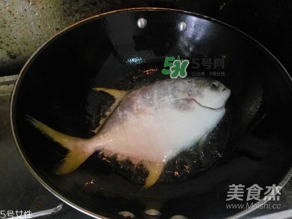 金鯧魚是海魚嗎？金鯧魚的刺多嗎？
