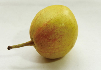 香梨怎么挑？香梨的功效與作用