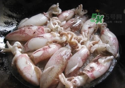 筆管魚(yú)是魷魚(yú)嗎？筆管魚(yú)和魷魚(yú)的區(qū)別