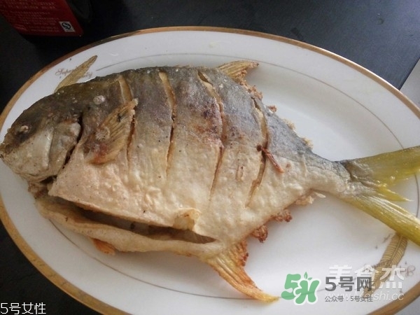 金鯧魚是海魚嗎？金鯧魚的刺多嗎？