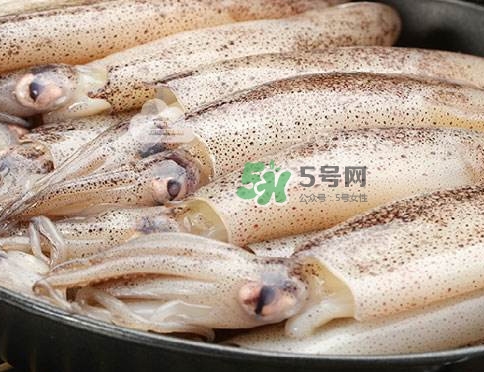 筆管魚是什么魚？筆管魚怎么吃