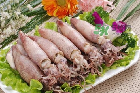 筆管魚(yú)是魷魚(yú)嗎？筆管魚(yú)和魷魚(yú)的區(qū)別