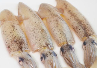 筆管魚(yú)是什么魚(yú)？筆管魚(yú)怎么吃