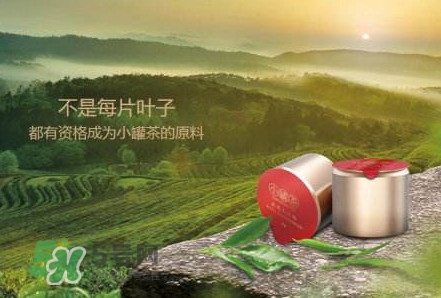 小罐茶怎么樣？小罐茶真的有那么好么