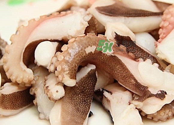 章魚有幾只腳？章魚有幾個爪子