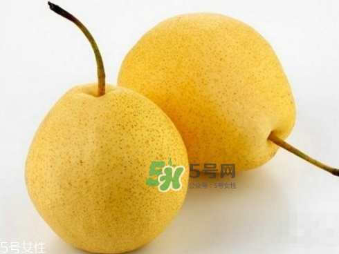 貢梨可以做冰糖雪梨嗎？貢梨可以燉川貝嗎？