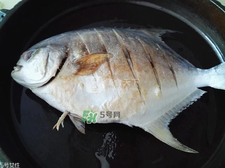 金鯧魚的營養(yǎng)價值 金鯧魚的功效作用 金鯧魚的營養(yǎng)價值 金鯧魚的功效作用