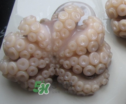 章魚有牙齒嗎？章魚天敵是什么