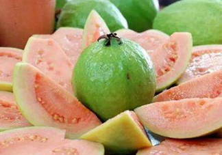 芭樂和石榴有什么區(qū)別？芭樂要吃硬的還是軟的？