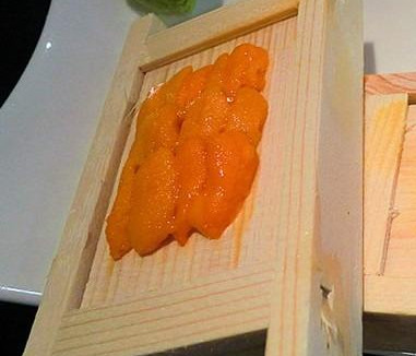 嬰兒能不能吃海膽？寶寶多大能吃海膽