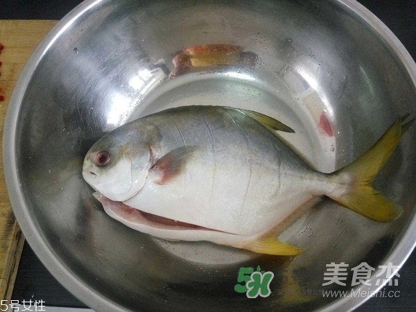 金鯧魚是海魚嗎？金鯧魚的刺多嗎？