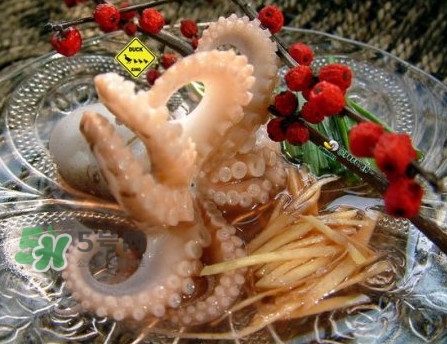 章魚有幾只腳？章魚有幾個爪子