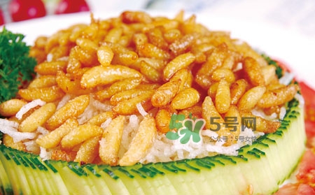 蜂蛹多少錢一公斤 蜂蛹怎么吃最有營養(yǎng)