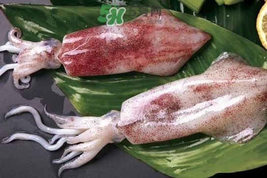 新鮮魷魚怎么處理？魷魚怎么清洗？