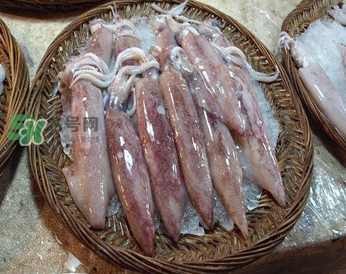 新鮮魷魚怎么保存？魷魚可以冷凍嗎