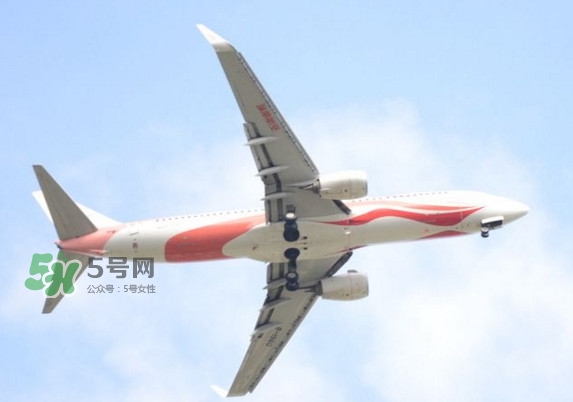 魷魚絲可以帶上飛機嗎？魷魚絲能帶上飛機嗎