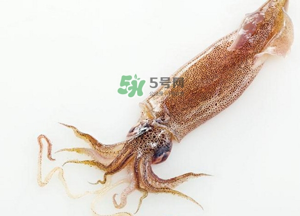 魷魚要焯水嗎？魷魚怎樣焯水