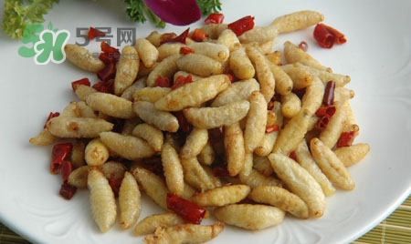 寶寶可以吃蜂蛹嗎？蜂蛹怎么吃最好吃？