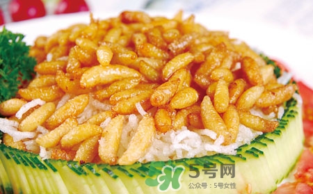 吃蜂蛹過(guò)敏了怎么辦？蜂蛹過(guò)敏的癥狀