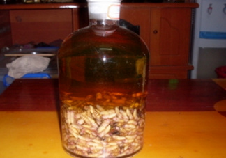 蜂蛹和枸杞能一起泡酒嗎？蜂蛹和枸杞泡酒的功效