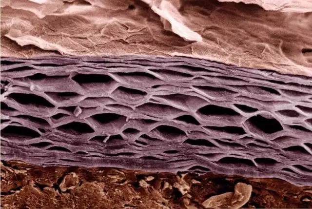 乳霜是什么 乳霜有什么功效與作用 乳霜是什么 乳霜有什么功效與作用