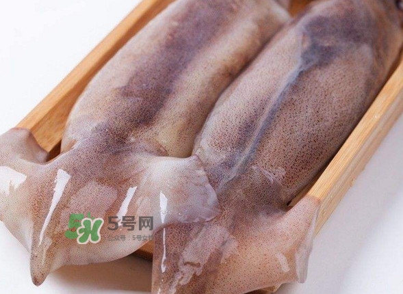 新鮮魷魚怎么保存？魷魚可以冷凍嗎
