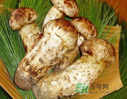 新鮮松茸怎么清洗？新鮮松茸怎么處理