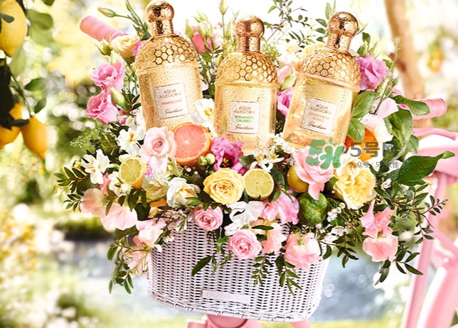 嬌蘭佛手柑花草水語(yǔ)淡香水怎么樣？嬌蘭佛手柑香水價(jià)格