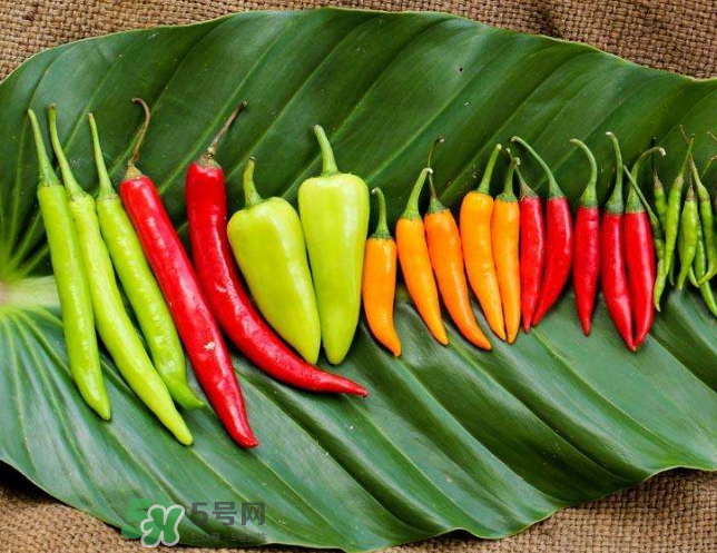 辣椒炒雞蛋的熱量是多少？辣椒能減肥嗎？